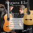 Segura Ele by Bruskers Guitar Duo