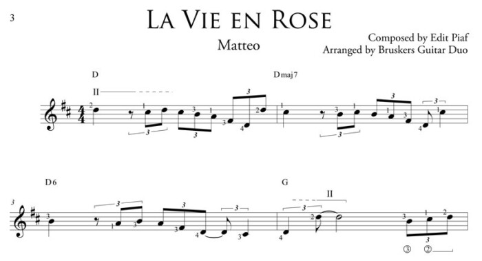 La Vie en Rose - Matteo SOLO - fragment 02